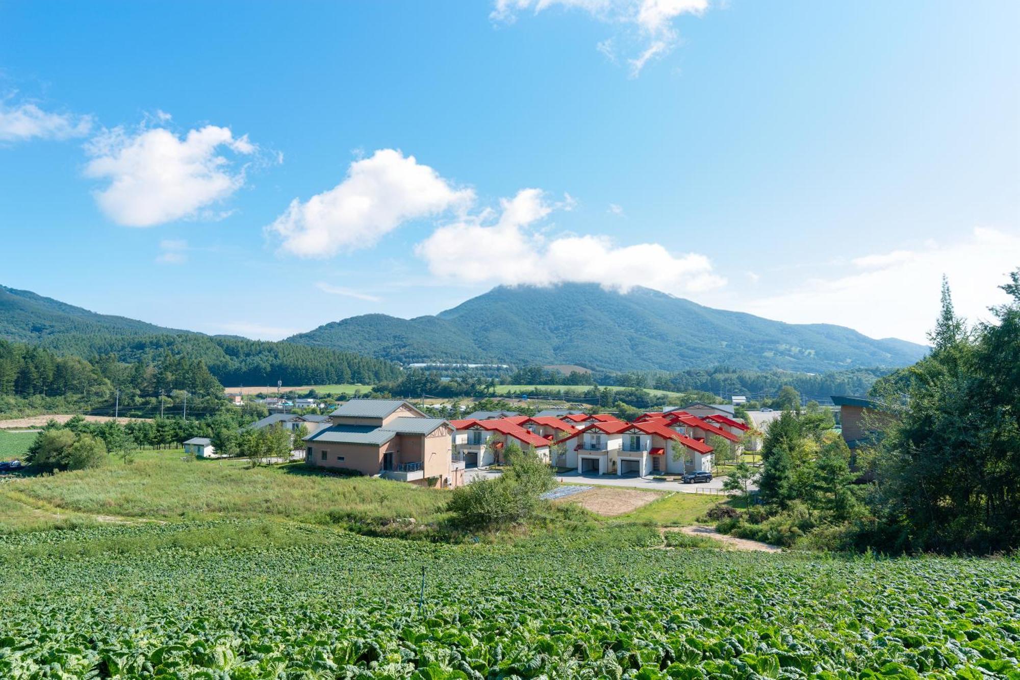 Le Comte Bleu Pyeongchang Exterior foto